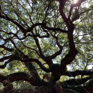 Meet your Posher, Bryce